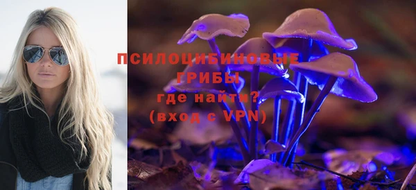 PSILOCYBIN Зерноград