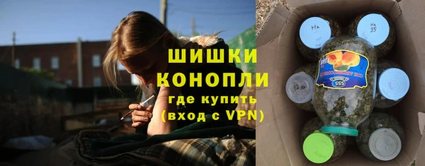 PSILOCYBIN Зерноград