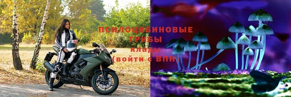 spice Зеленодольск