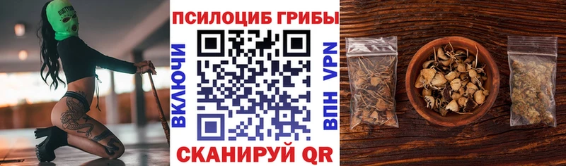 купить  цена  Карачев  Псилоцибиновые грибы Psilocybe 